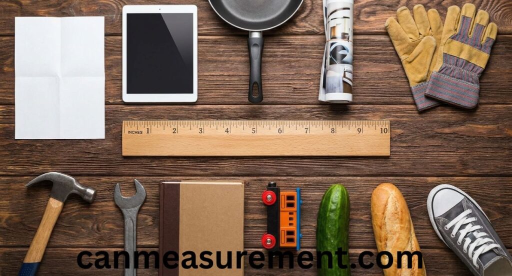 10 Inches: 12 Common Things That Are 10 Inches Long in Real Life