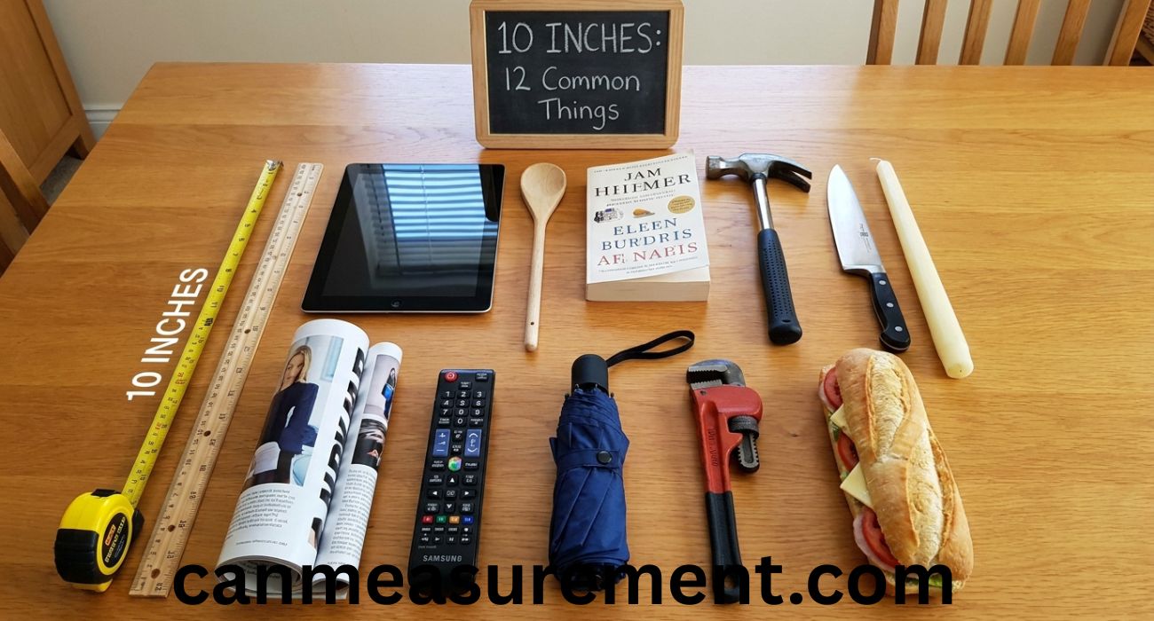 10 Inches: 12 Common Things That Are 10 Inches Long in Real Life