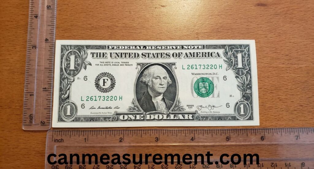 Dollar Bill Dimensions: Complete Guide to U.S. Currency Size and Measurements