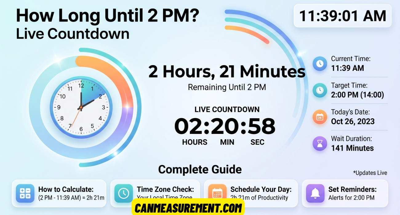 How Long Until 2 PM? Live Countdown, Time Calculator & Complete Guide